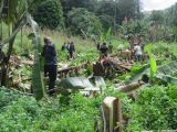 Converted timber were arrested inside oil palm plantations suspected stolen oil from forest reserve